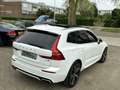 Volvo XC60 T8 AWD R-Design Head-Up B&W Luchtvering Pano Wit - thumbnail 5