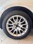 Fiat Bravo Bravo II 2007 1.6 mjt Dynamic 90cv Weiß - thumbnail 14