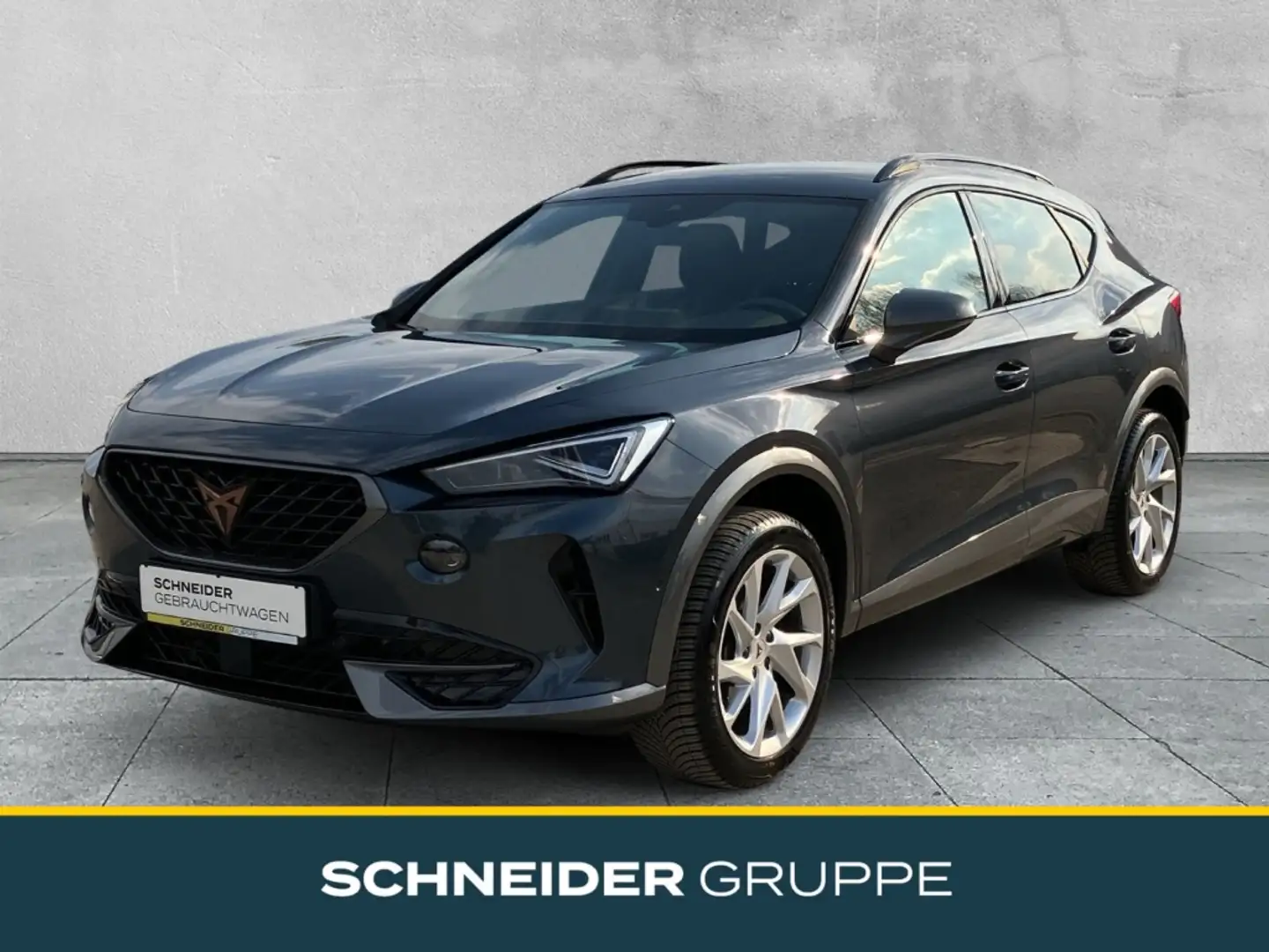 CUPRA Formentor 2.0 TDI DSG 4Drive NAVI+ACC+KAMERA+AHK Grau - 1
