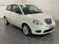 Lancia Ypsilon 1.3 MJT 75 CV Unyca-UNICOPROPRIETARIO Blanco - thumbnail 1