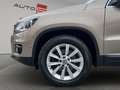 Volkswagen Tiguan Sport & Style 4Motion+1.HAND+AUTOMATIK Beige - thumbnail 20