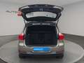 Volkswagen Tiguan Sport & Style 4Motion+1.HAND+AUTOMATIK Beige - thumbnail 18