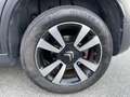 Citroen C3 1.6 bluehdi Shine 100cv Grigio - thumbnail 9