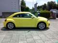 Volkswagen Beetle The 1.4 TSI  Design 1.Hand/Scheckh. Jaune - thumbnail 2