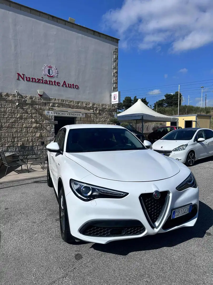 Alfa Romeo Stelvio 2.2 Turbodiesel 160 CV AT8 RWD Super Blanc - 1