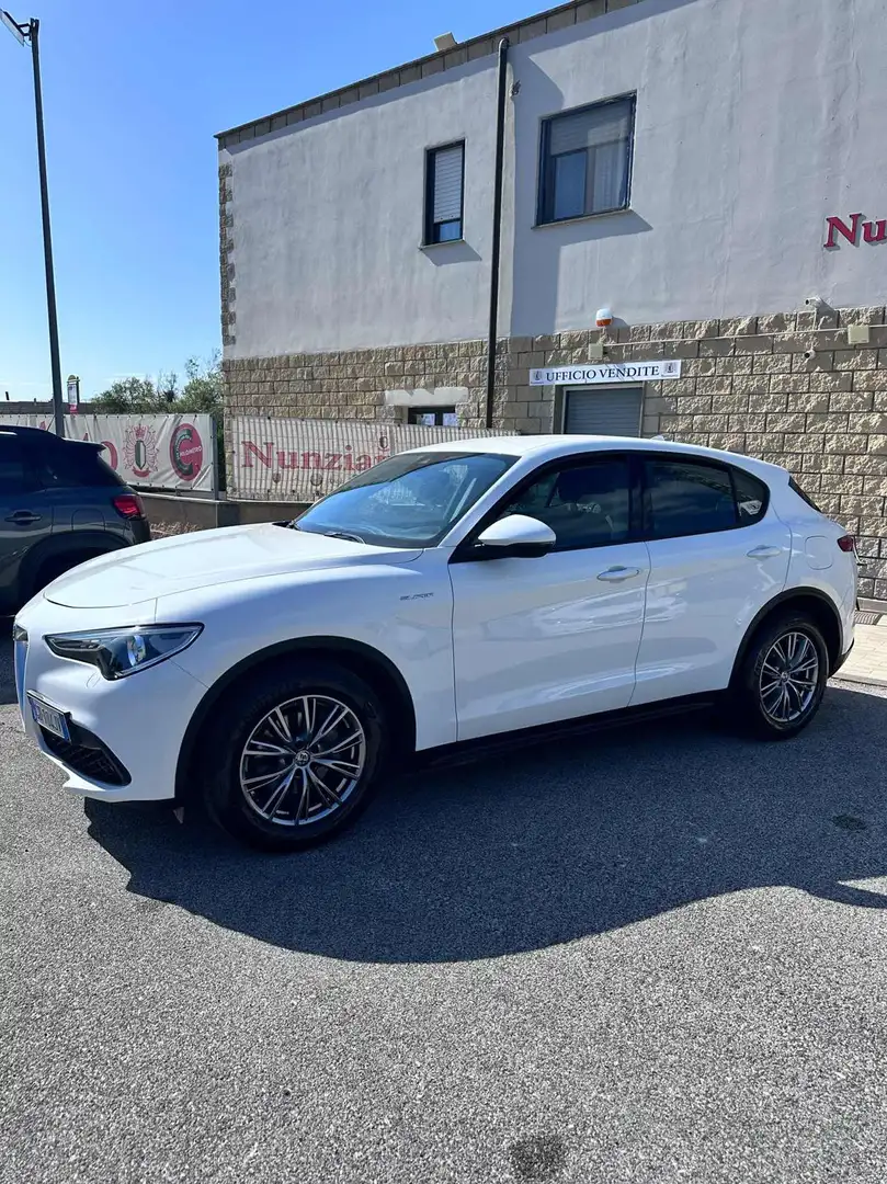 Alfa Romeo Stelvio 2.2 Turbodiesel 160 CV AT8 RWD Super Blanc - 2