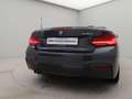 BMW 230 2 Serie Cabrio 230i High Executive Edition Grau - thumbnail 30