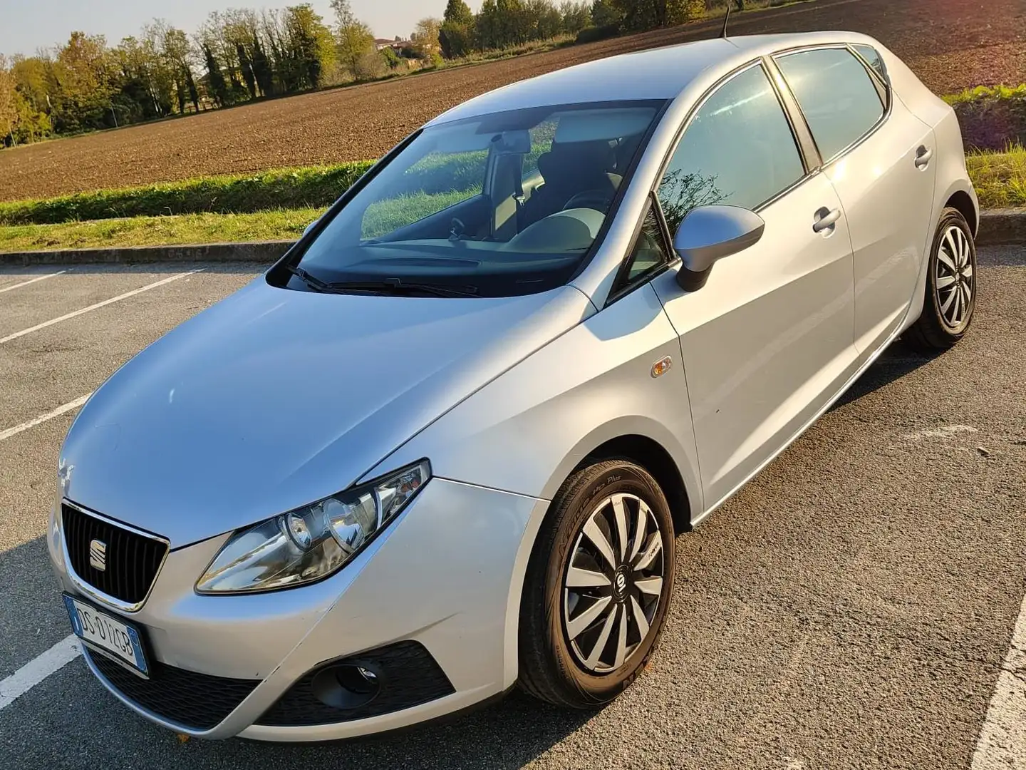 SEAT Ibiza Ibiza IV 2008 Berlina 5p 1.4 Reference Grigio - 1