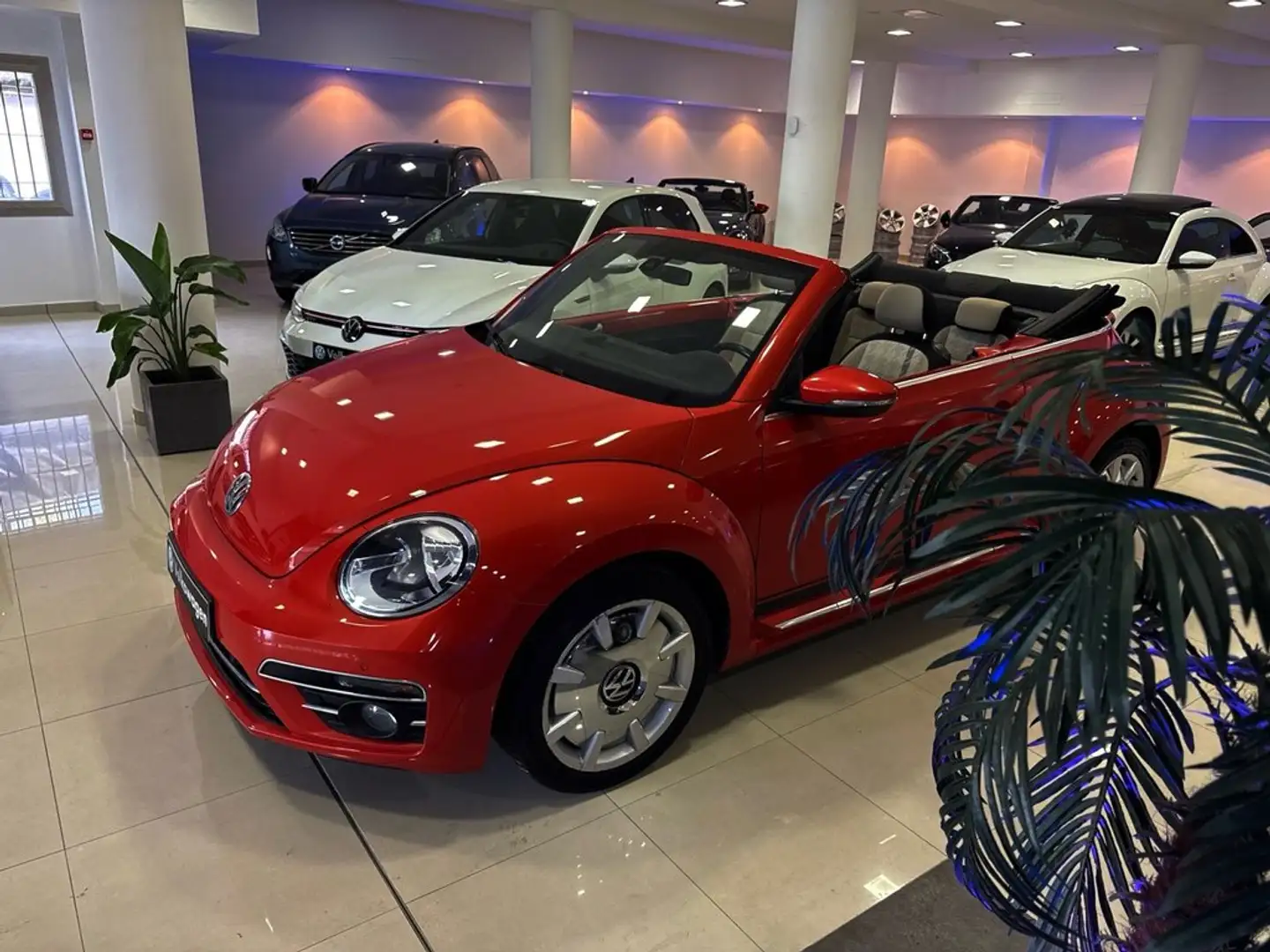 Volkswagen Beetle Cabrio 2.0TDI Design 110kW Rojo - 1