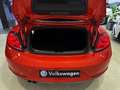 Volkswagen Beetle Cabrio 2.0TDI Design 110kW Rojo - thumbnail 22