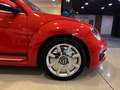 Volkswagen Beetle Cabrio 2.0TDI Design 110kW Rojo - thumbnail 11