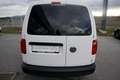 Volkswagen Caddy Caddy Maxi Kastenwagen Entry 2,0 TDI *1.Besitz*... - thumbnail 16
