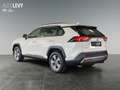 Toyota RAV 4 RAV4 - 2.5 l Hybrid 4x2 Business Edition Blanc - thumbnail 4