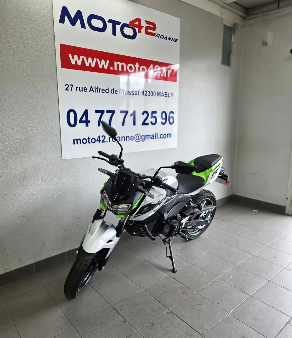 Kawasaki Grau - 2