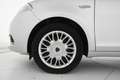 Lancia Ypsilon 1.3 mjt Silver s&s 95cv X COMMERCIANTI Argento - thumbnail 31