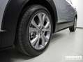 Mazda CX-30 2.0L Skyactiv-G M-Hybrid 2WD Executive Grau - thumbnail 26