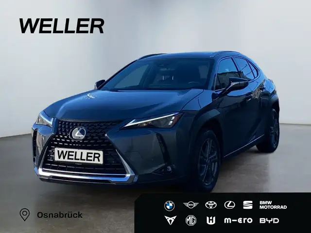 Lexus UX 250h Executive Line *HUD*Leder*GSD*CAM*el Heck*