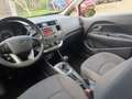 Kia Rio 1.2 CVVT Comfort Pack, DIT IS EEN RIJKLAARPRIJS Rouge - thumbnail 6
