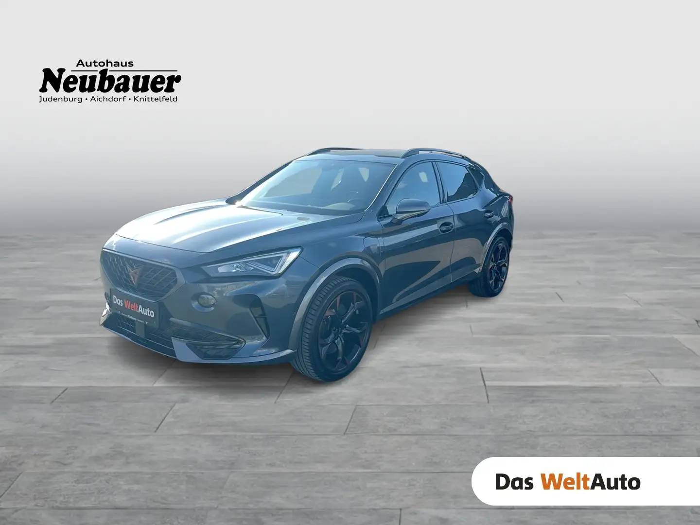 CUPRA Formentor TRIBE VZ e-HYBRID 245 PS DSG Grau - 1