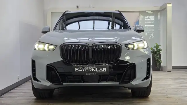 BMW X5 X5 view 2