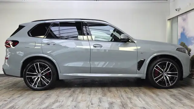 BMW X5 X5 view 4