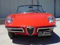 Alfa Romeo Spider 1.6 duetto osso di seppia -CRS Rouge - thumbnail 8