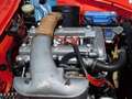 Alfa Romeo Spider 1.6 duetto osso di seppia -CRS Rouge - thumbnail 15