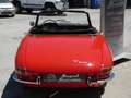 Alfa Romeo Spider 1.6 duetto osso di seppia -CRS Rouge - thumbnail 4