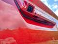 Isuzu D-Max 1.9 aut. Crew BB+ Cab con ShutterLid!! Rosso - thumbnail 10