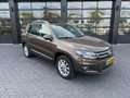 Volkswagen Tiguan 2.0 TDI Dsg Marrone - thumbnail 14