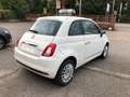 Fiat 500 500 1.0 hybrid Cult 70cv confort e style packs Blanco - thumbnail 6