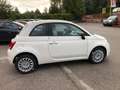 Fiat 500 500 1.0 hybrid Cult 70cv confort e style packs Blanco - thumbnail 7