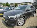 Audi e-tron 55 quattro *PANO *LEDER *AHK *MATRIX LED *1.HAND Grau - thumbnail 1