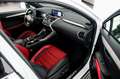 Lexus NX 300 300h F Sport 4WD White - thumbnail 14