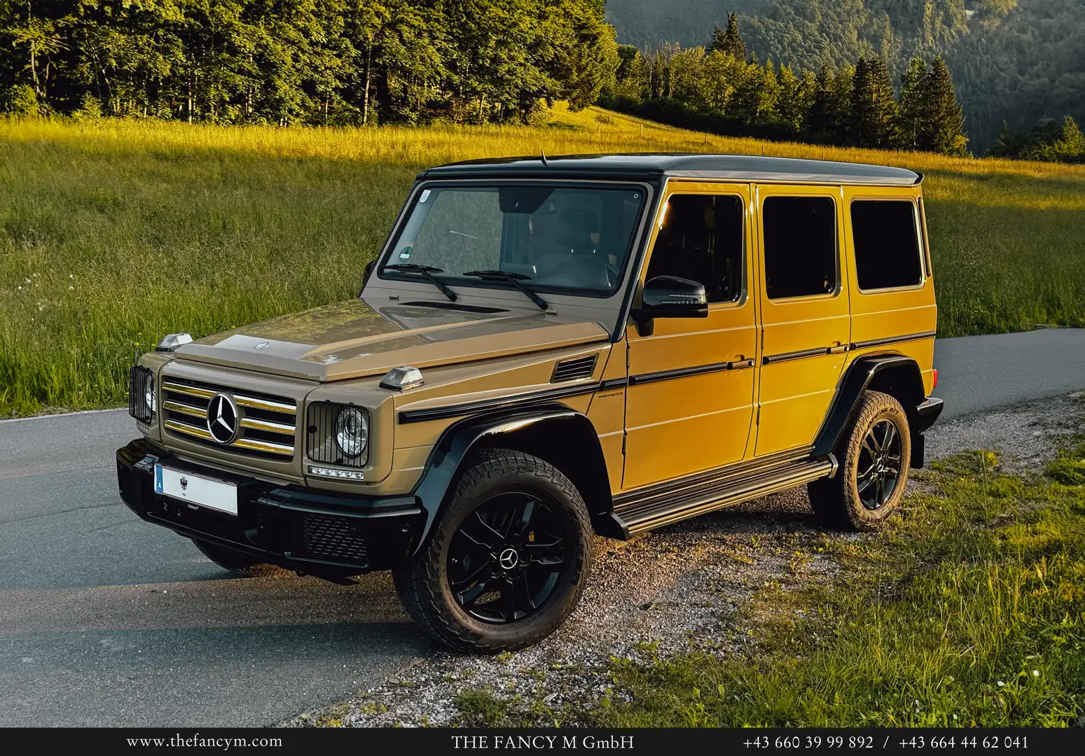 Mercedes-Benz G 350 G 350 d (463.348) Beige - 2