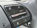 Hyundai IONIQ Premium Hybrid 1.6 GDI Navi/Klimasitze/Xenon/Klima Weiß - thumbnail 14