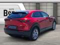 Mazda CX-30 2.0 SKYACTIV-G M Hybrid 150 Selection AWD *MATRIX* Red - thumbnail 5