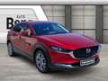 Mazda CX-30 2.0 SKYACTIV-G M Hybrid 150 Selection AWD *MATRIX* Rot - thumbnail 7