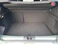 Dacia Sandero 1.0 ECO-G 100ch Stepway Extreme -24 Groen - thumbnail 14