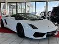 Lamborghini Gallardo LP 560-4 Spyder Leder+Kamera+Xenon+Alu+Navi Weiß - thumbnail 6