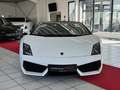 Lamborghini Gallardo LP 560-4 Spyder Leder+Kamera+Xenon+Alu+Navi Blanc - thumbnail 7