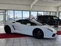 Lamborghini Gallardo LP 560-4 Spyder Leder+Kamera+Xenon+Alu+Navi Weiß - thumbnail 14