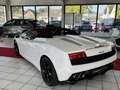 Lamborghini Gallardo LP 560-4 Spyder Leder+Kamera+Xenon+Alu+Navi Weiß - thumbnail 12