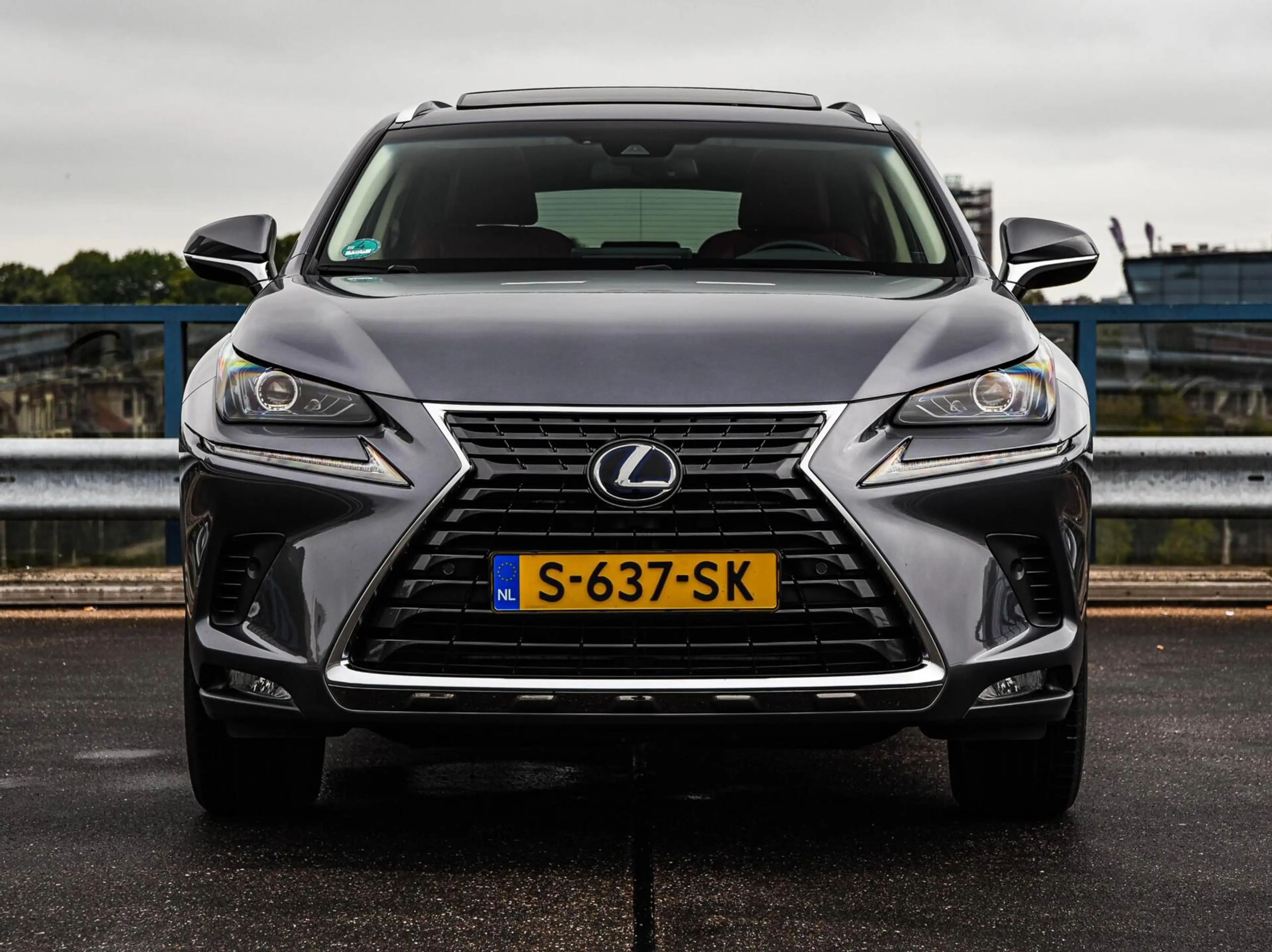 Lexus NX 300h AWD Luxury Line | Schuifdak | Leder | Trekhaak | C — photo 4