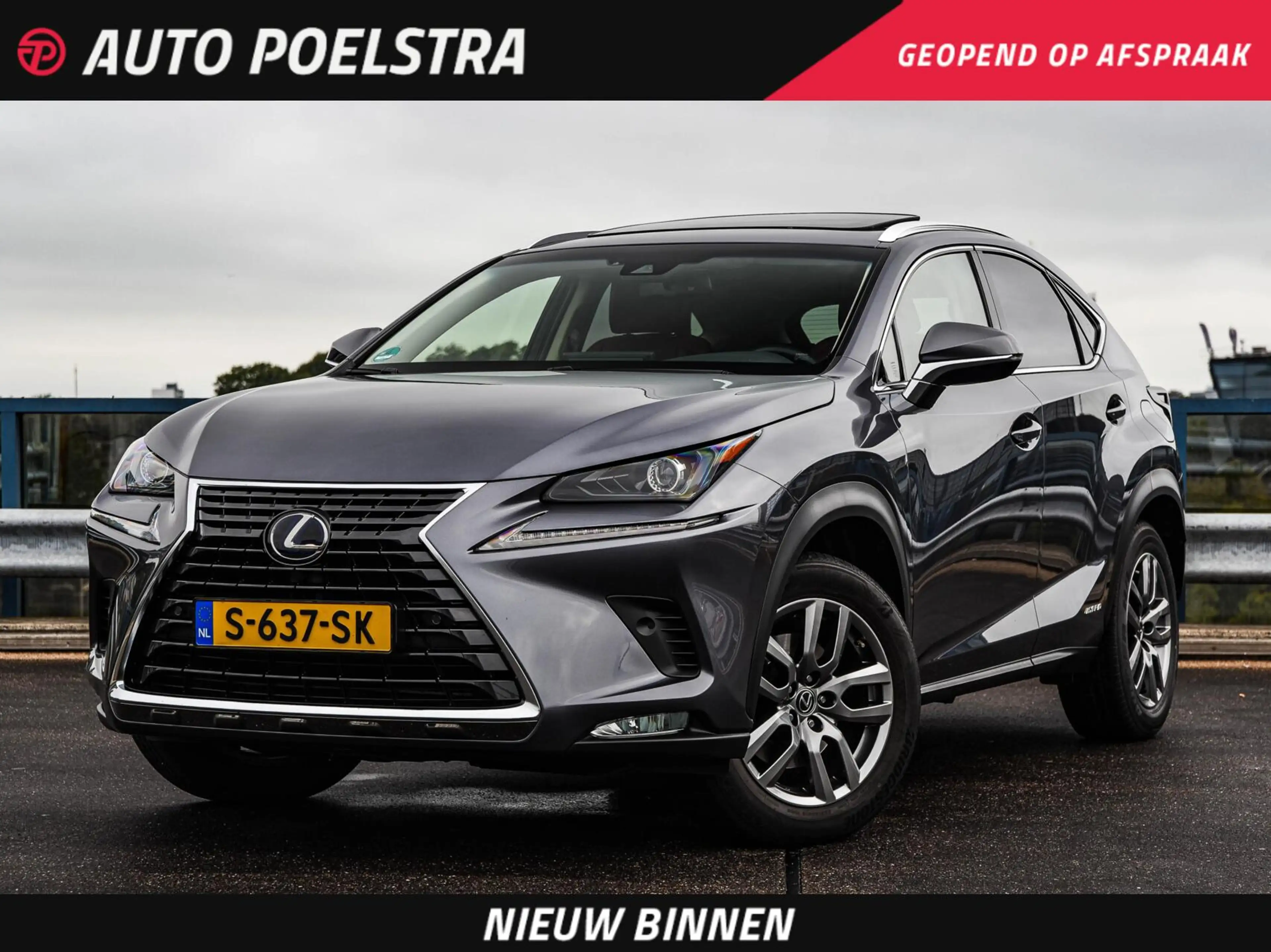 Lexus NX 300h AWD Luxury Line | Schuifdak | Leder | Trekhaak | C
