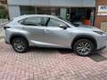 Lexus NX 300h NX 300h 2.5 Executive 2wd cvt Ezüst - thumbnail 1