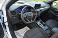 Ford Kuga 2.5 EcoBoost PHEV ST-Line Plug-in Hybride Blanc - thumbnail 8