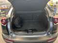 Mazda MX-30 35,5kWh GTE+ Grau - thumbnail 13