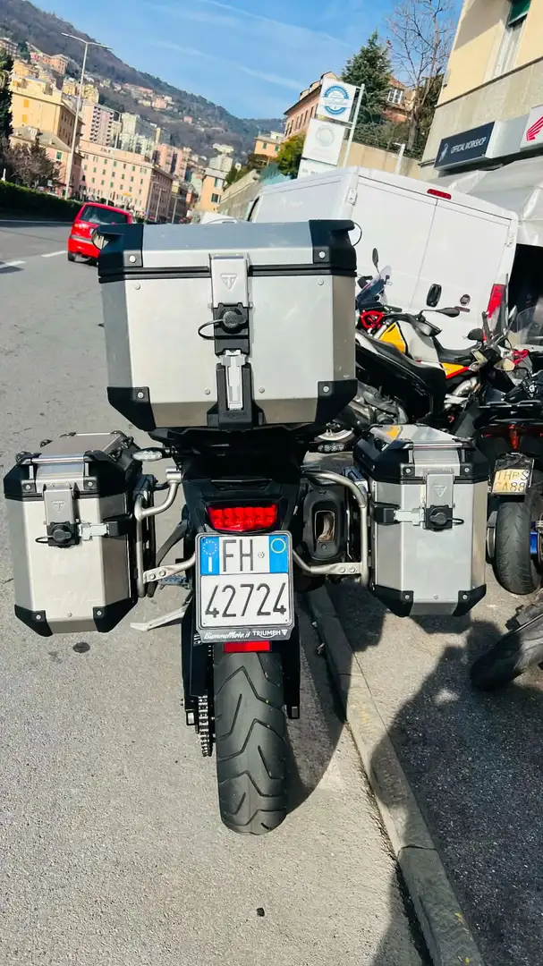 Triumph Tiger 900 GT KIT TRE VALIGE Grigio - 2