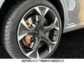 CUPRA Formentor VZ 2.0 TSI DSG 4Drive BREMBO BEATS NAVI Gris - thumbnail 14